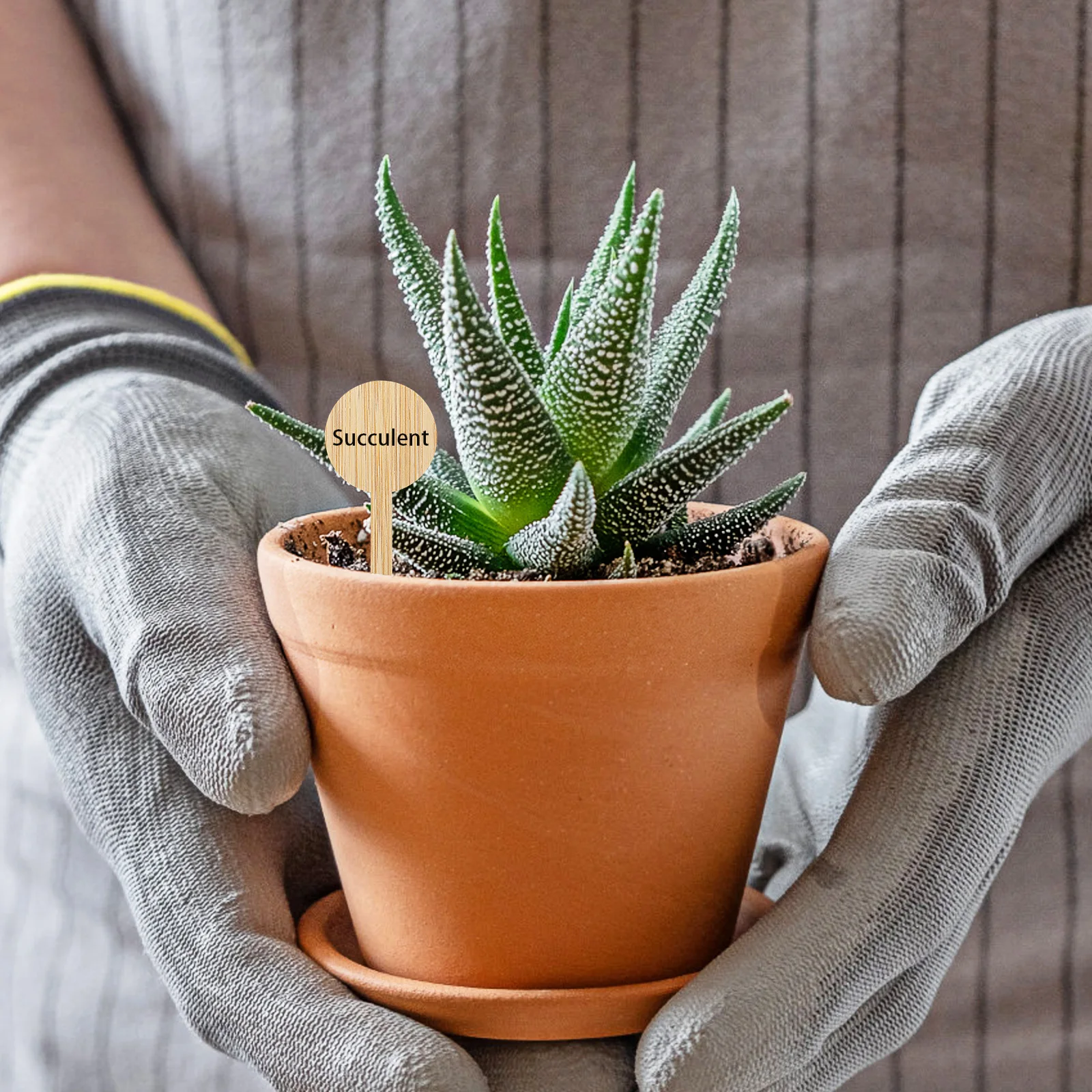 20Pcs Reusable Bamboo Plant Labels T Shape Garden for Seedling Tracking Weather Resistant Landscape Mini Plaque