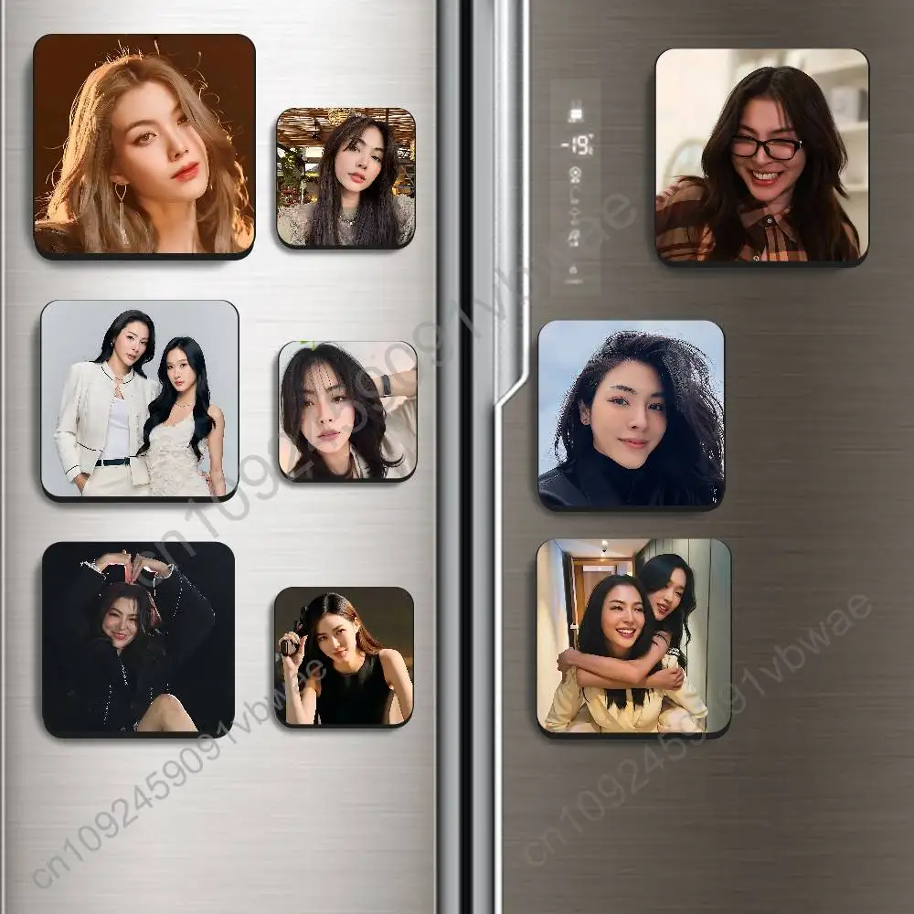 Gentle Faye and elegant Peraya Malisorn Magnetic Sticker Fridge Magnets No Falling Off Fit for Refrigerators All Metal Surfaces