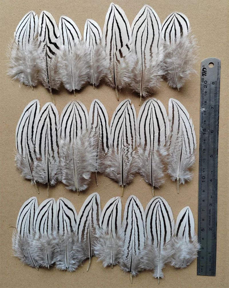 100Pcs/Lot! NATURAL Silver Wing Pheasant Feathers,Feather Headdress,Top with Feathers,Feathers Natural