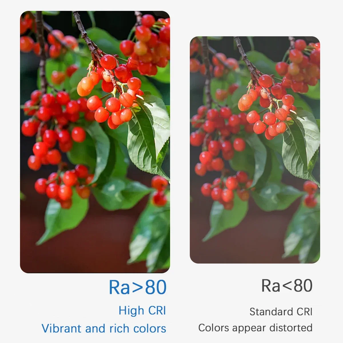 10PCS AC DC 12V 24V Ceiling Spotlight LED light 3W 5W 7W 90° angle adjust indoor Lighting Square Round Downlight for home derec