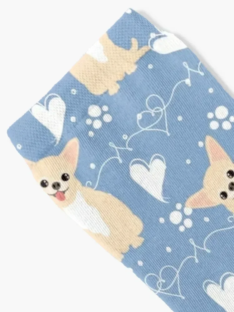 LOVE Fawn Cream White Chihuahua 5 Socks Run crazy Socks For Women Men's