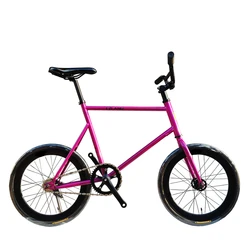 20 Inch 48CM Mini Fixie Bicycle Steel Frame Small Wheel Action Male Female Students Backward Reversing Brake Fixed Gear Bike