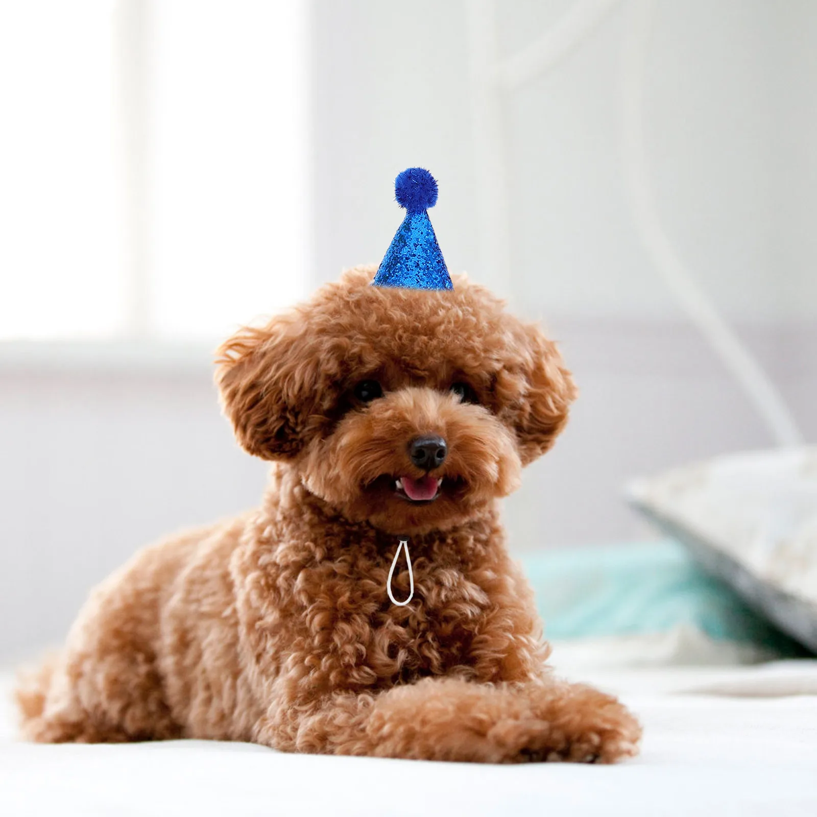 

10Pcs Pet Birthday Hat Shiny Comfortable Dog Cat Party Hat Easy Wear Adjustable for Festive Events Puppies Kittens Celebration