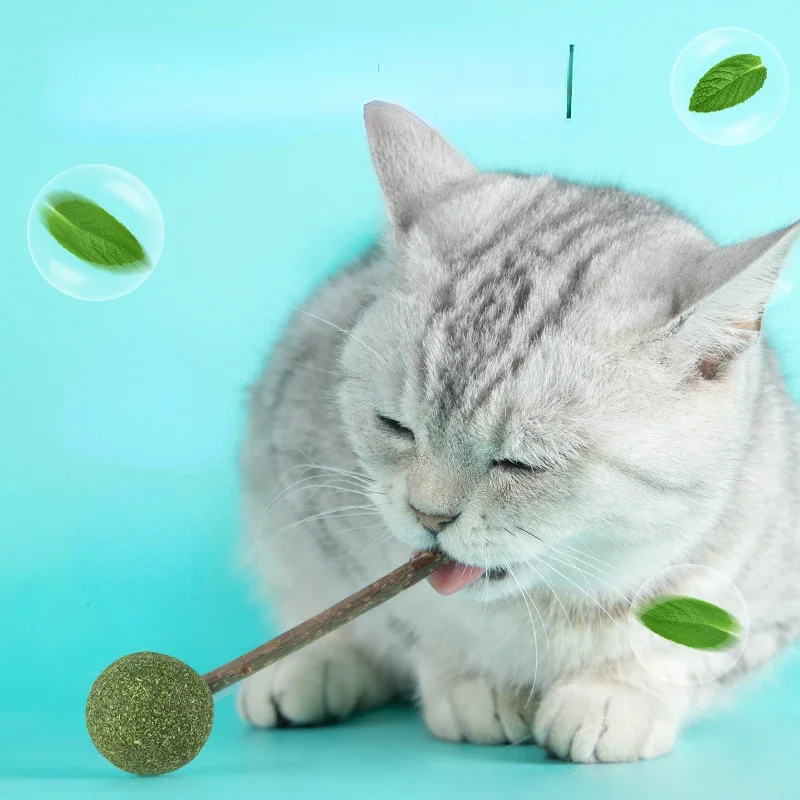 Cute Shape Fresh Cat Catnip Toys Cat Mint Natural Safety Edible Cute Shape Pet Mint Lollipop Catnip Ball Cat Toy Clean Teeth