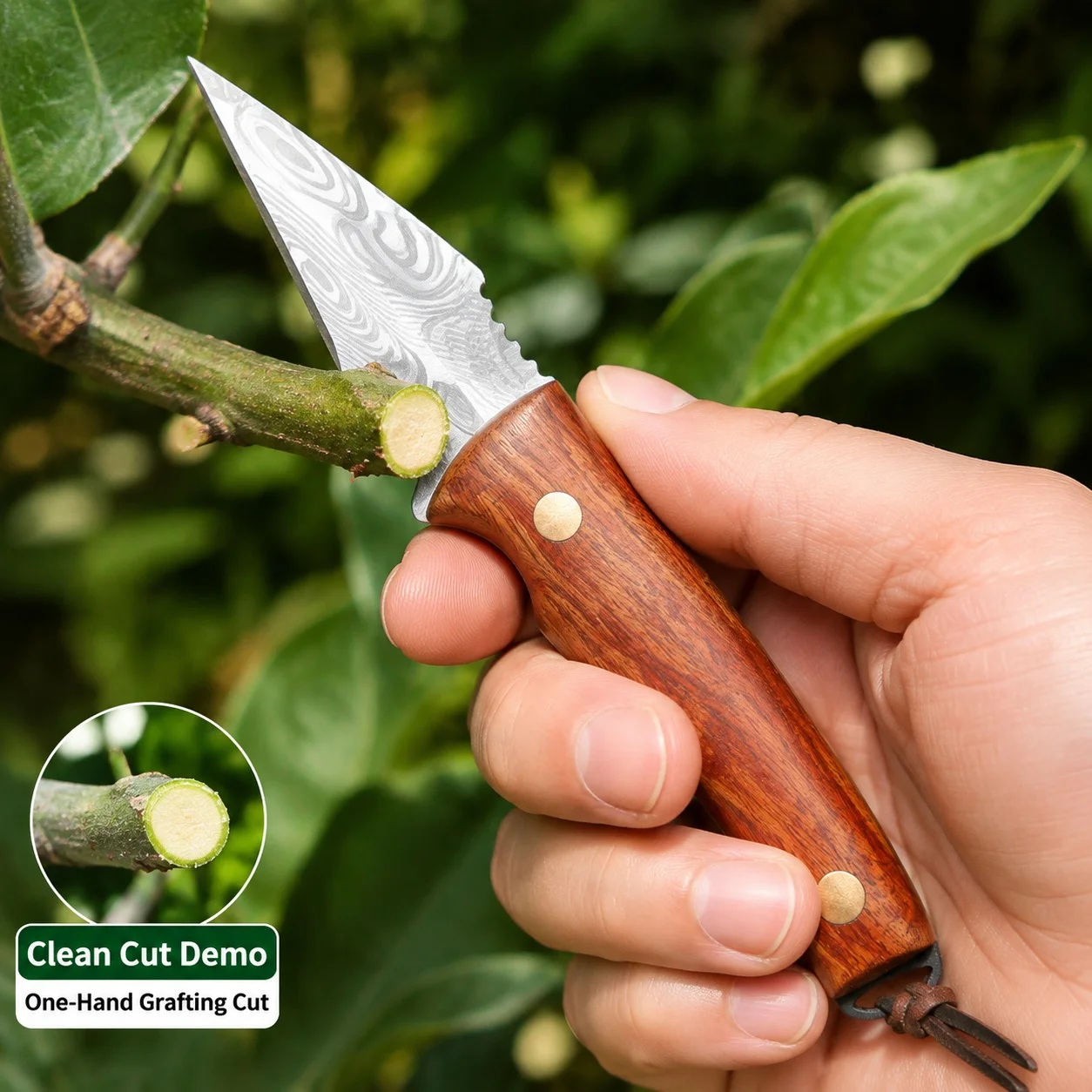 Handmade Grafting Knife｜Multifunctional For Thick-Branch & Bud Grafting｜Fruit Tree Gardening Pro