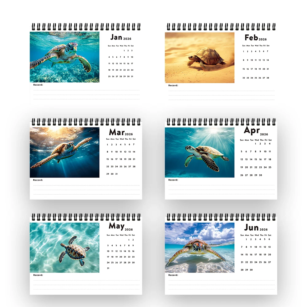 1 قطعة 2026-2027 تقويم موضوع المحيط ، مخطط شهري لمدة 24 شهرًا ، تقويم سطح المكتب ، هدية مثالية لأعياد الميلاد وعيد الميلاد ورأس السنة الجديدة #6
