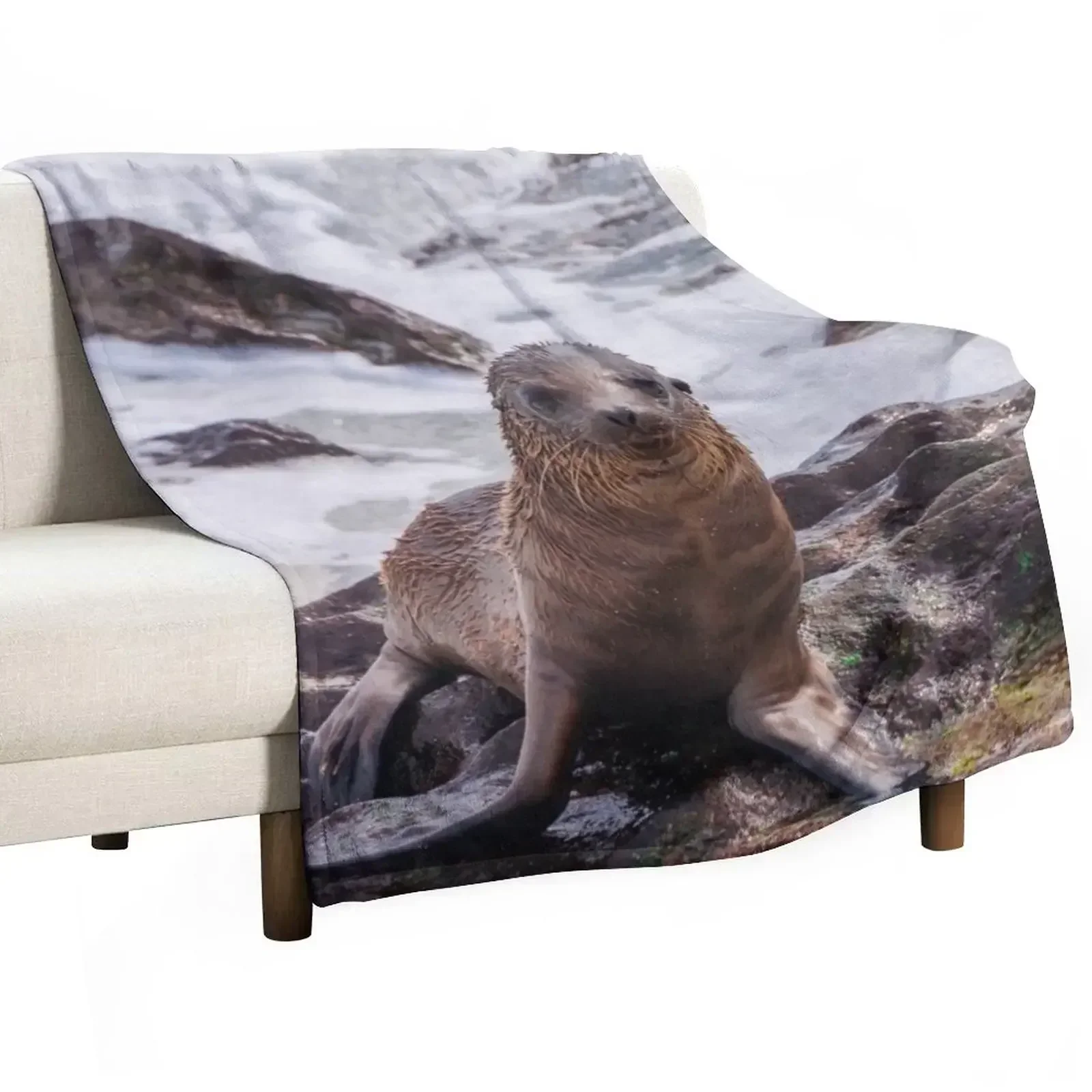 

Sea Lion on the Shore Throw Blanket Luxury Thicken Cute Decoratives Kid'S Blankets