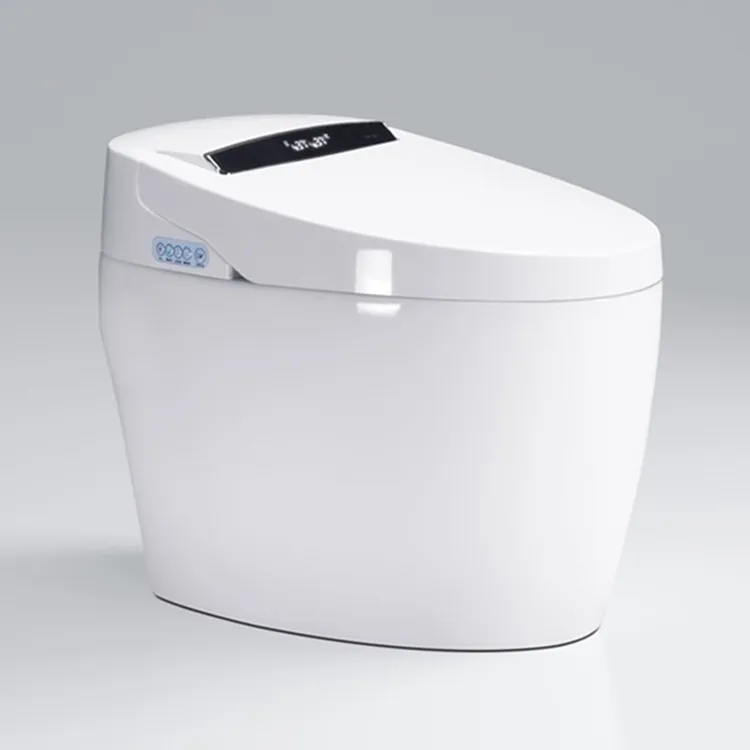 Hotel Quality One Piece Water Closet Electric Bidet Toilet Bowl Floor Mounted Intelligent Smart Bathroom Sanitary Ware