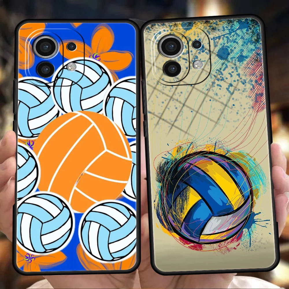 Volleyball Painted … - image