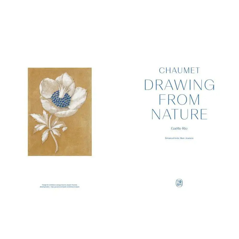 Chaumet Drawing From Nature Gaelle Rio Marc Jeason Thames And Hudson Ltd 9780500023815 Book