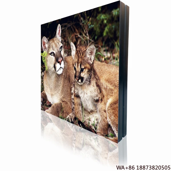 

LED Display Waterproof Module Full Color Digital Stage Panel P5 Video Wall Advertising Outdoor Screen HD Screen