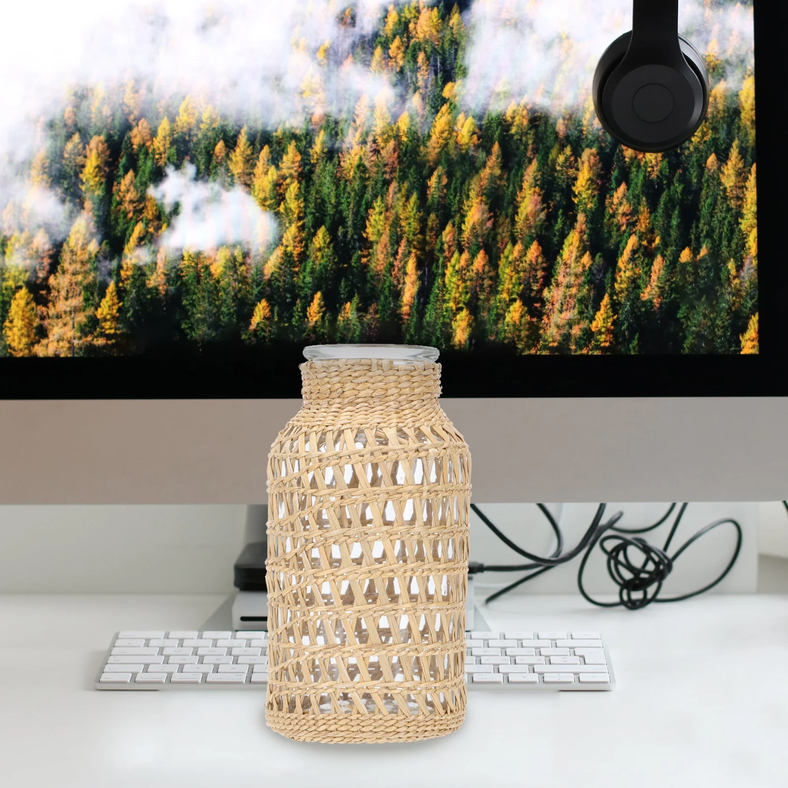 

Rattan Glass Vase Home Decoration Flower Container Easy Maintenance Perfect Gift Birthday Wedding Anniversary Thanksgiving