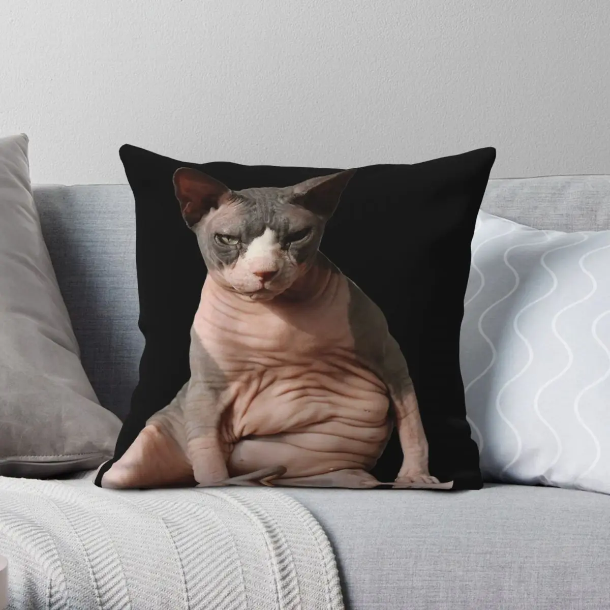 Sphynx Hairless Cat Square Pillowcase Polyester Linen Velvet Printed Zip Decor Car Cushion Cover Wholesale