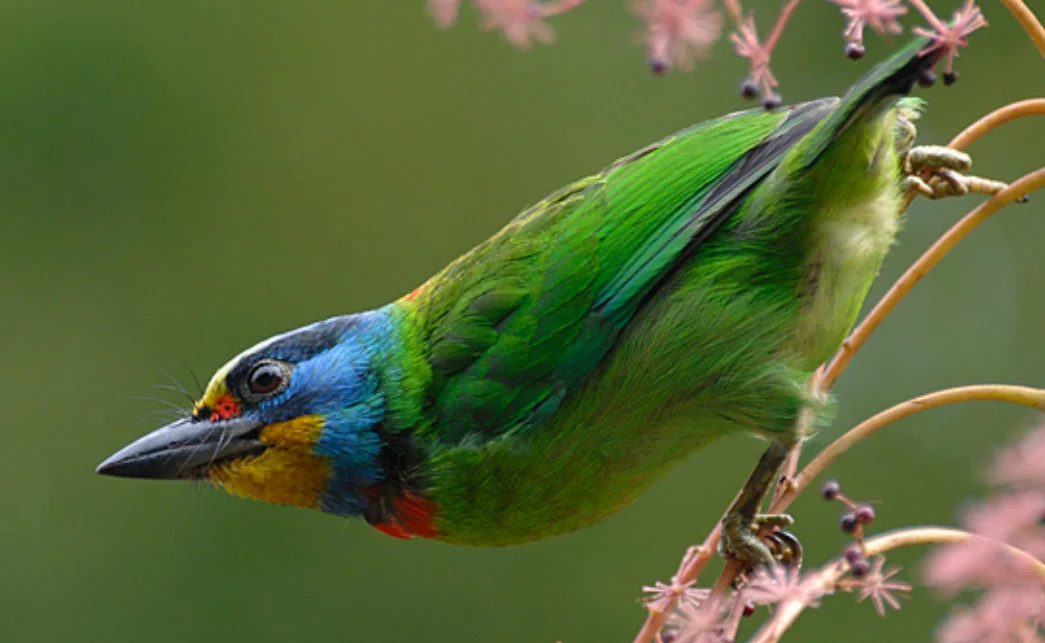 

Aluminum Portal Axle Housing for 1/10 RC Crawler Traxxas TRX-4 Defender Bronco G500 Chevrolet Metal Upgrade Parts