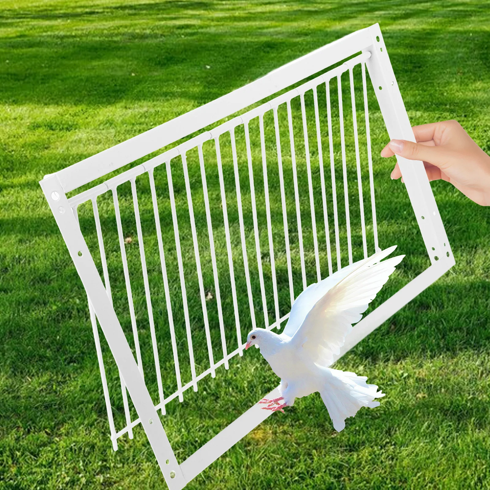 

Pet Bird Supplies One Way Pigeon Door Cage Coop Entrance Accessories Doors for