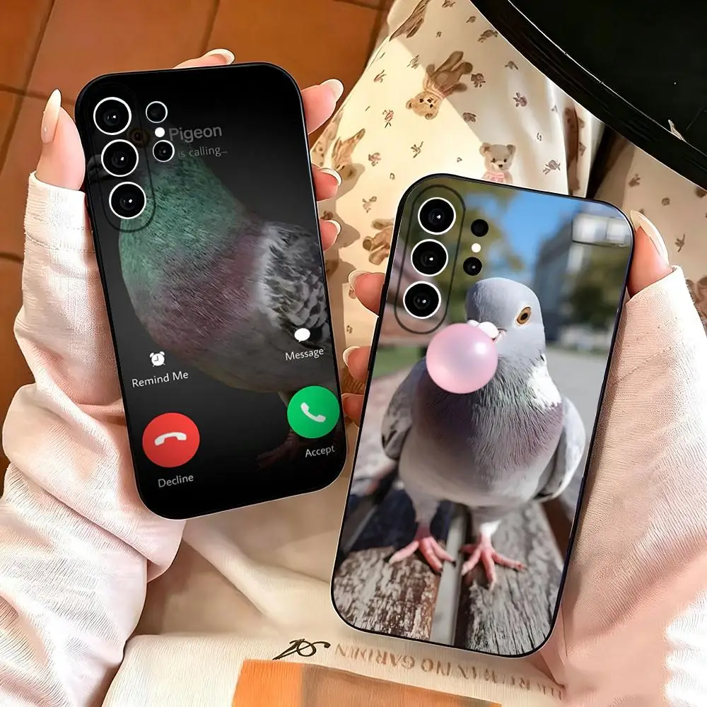 Funny Pigeon Mischief Phone Case Phone Case For Samsung S26 S25 S24 S23 FE Plus Ultra A57 A37 A27 A17 A16 A26 A15 A55 A14 Black