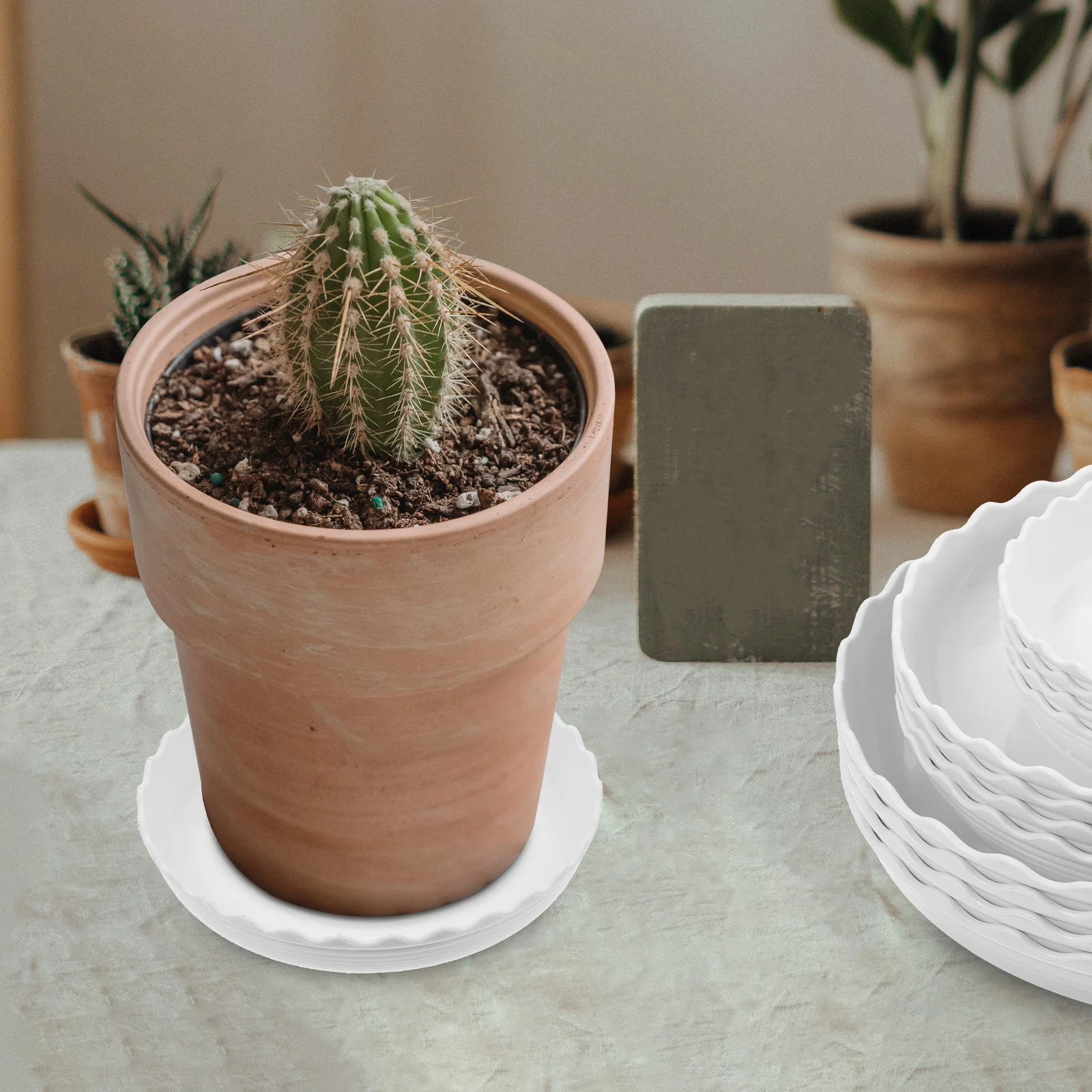 

12pcs Flowerpot Trays PP Resin Round Drainage Saucers Non-Slip Waterproof for Ceramic Clay Pots White Garden Supplies