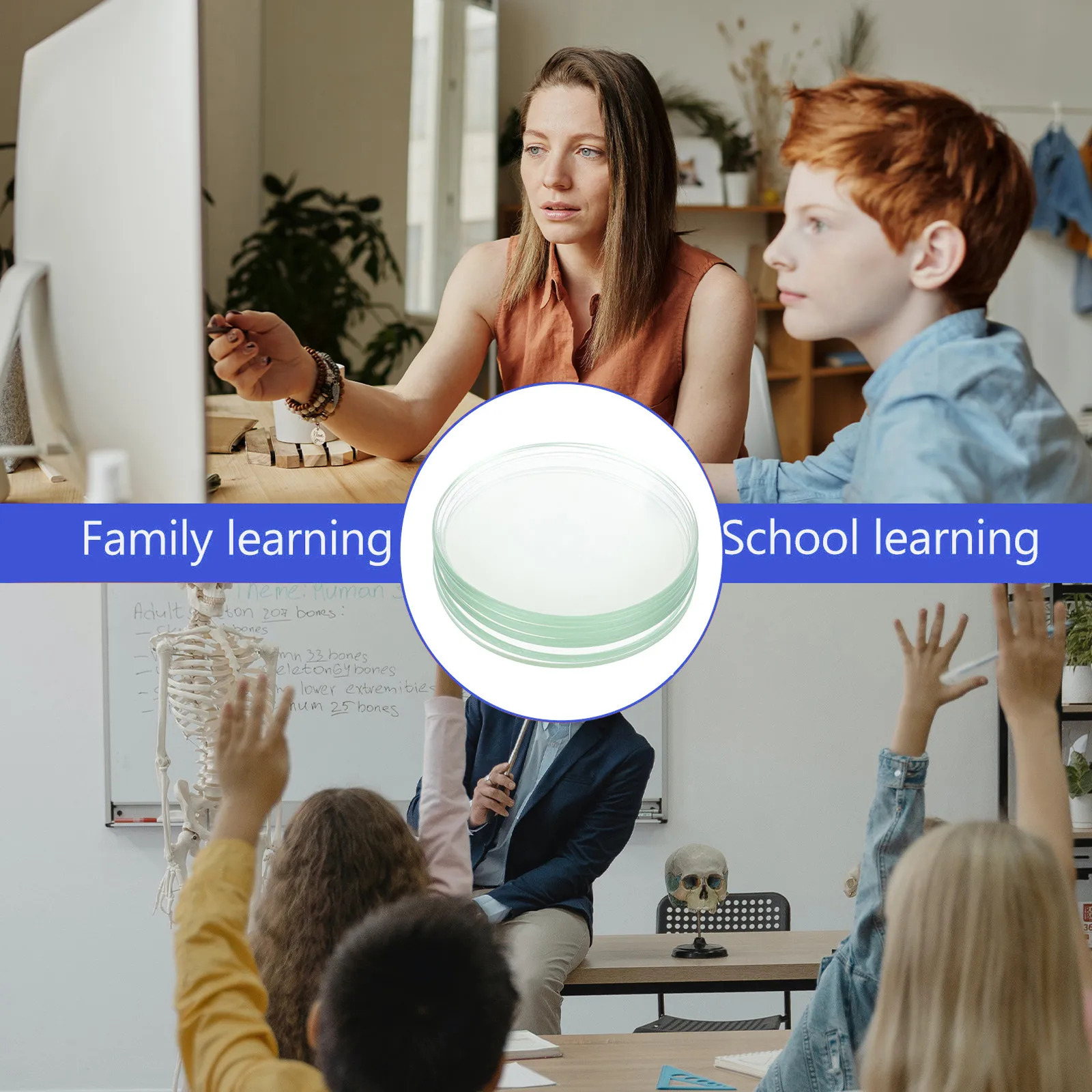 

10 шт. термостойких круглых плоских прозрачных стеклянных колбочек из боросиликатного стекла для испарения