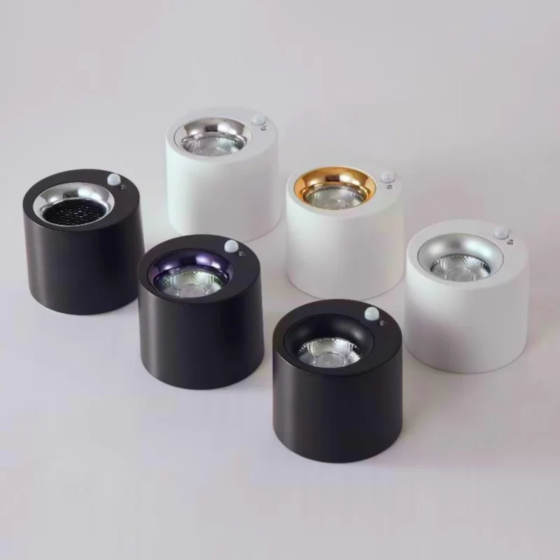 Human body induction light, entrance hallway, exposed ceiling light, automatic light sensing night light