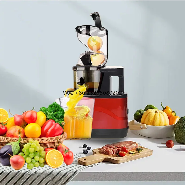 

500W Multi-functional Citrus Carrot Cucumber Electric Cold Press Juicer Slow Chewing Juicer