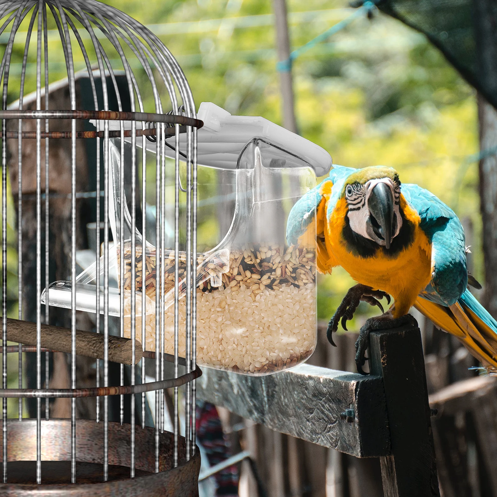 

3pcs Hanging Parrot Transparent Container Durable Plastic Birdcage Supplies Large Capacity Food Box For Budgerigar Canary