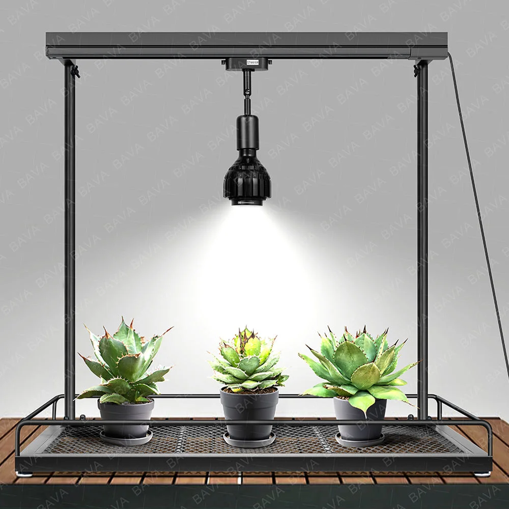 BAVAGREEN E26 Socket Full Spectrum LED Grow Light Bulb 20W Adjust Beam COB LED Plant Lamp for Garden Agave Vegetables Flowers