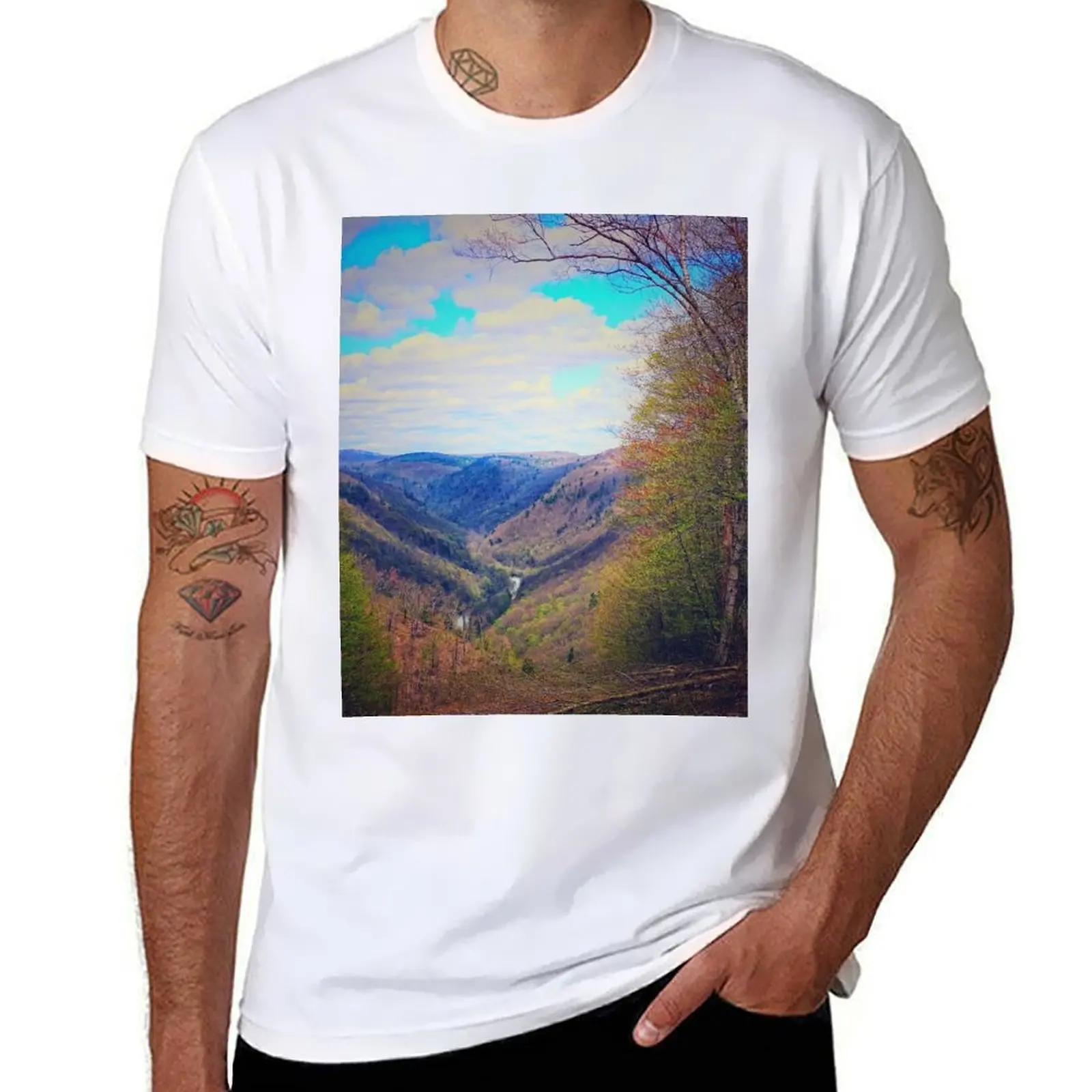 

The Pennsylvania Grand Canyon T-Shirt Casual Everyday Short Sleeve T-Shirt