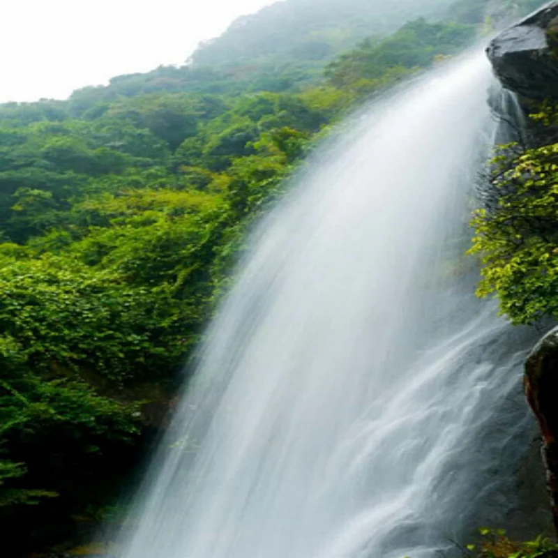 

Electric Tailgate Car Accessory For Audi A6 L 2019-2024 Electric Motor for Trunk Kick Sensor Car Assecories Car supplies