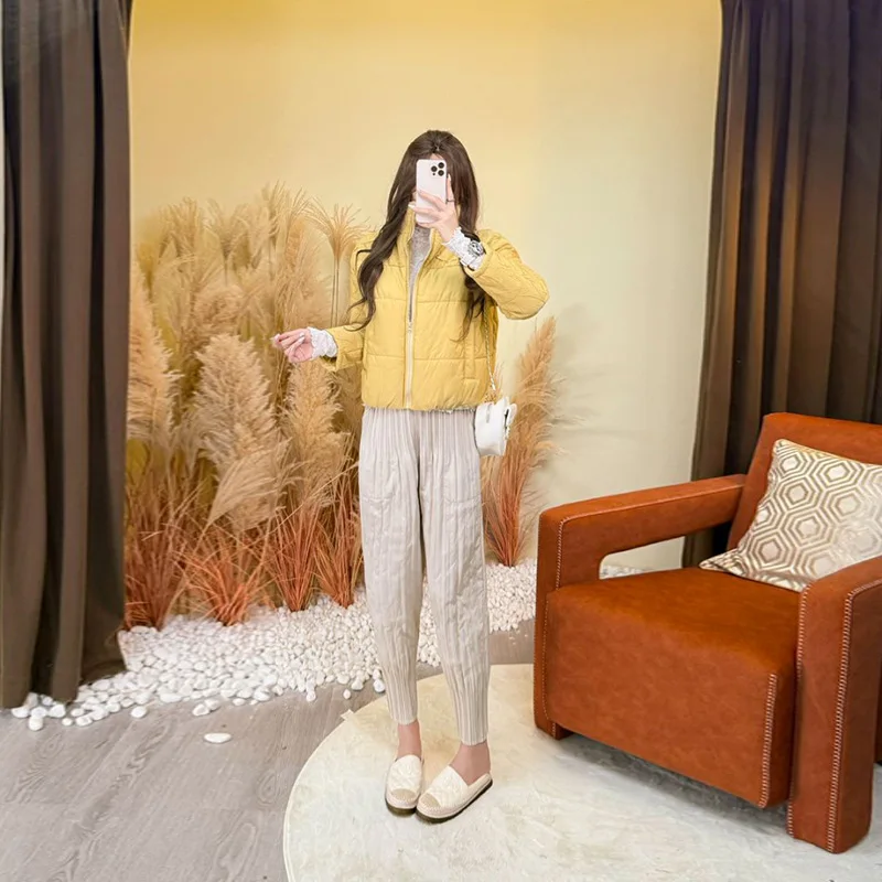 Miyake Fold 2025 Autumn/Winter New Fold Cotton Jacket Women's Short Zipper Cardigan Fashion Casual Women's Long Sleeve Coat