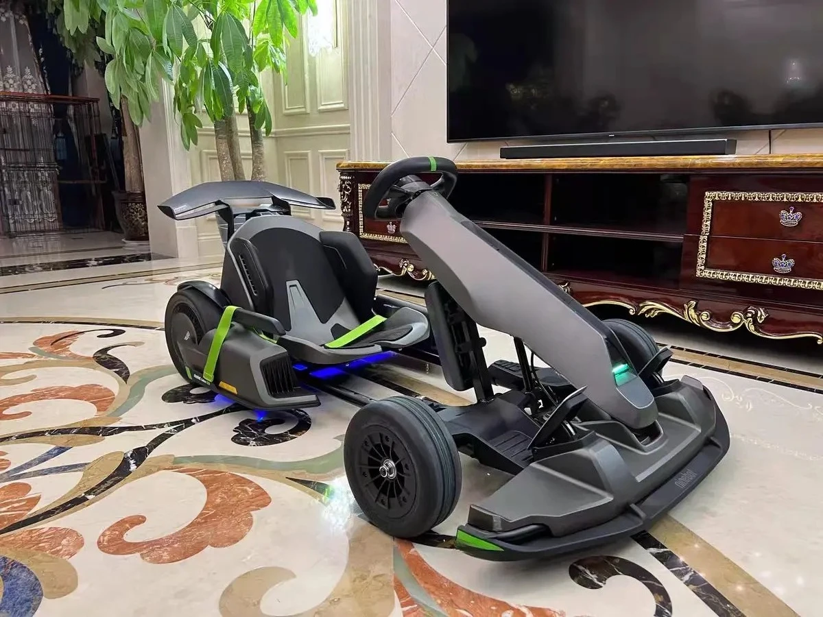 2025 عربة الذهاب الكهربائية الاحترافية عالية الجودة للبالغين للبيع #5