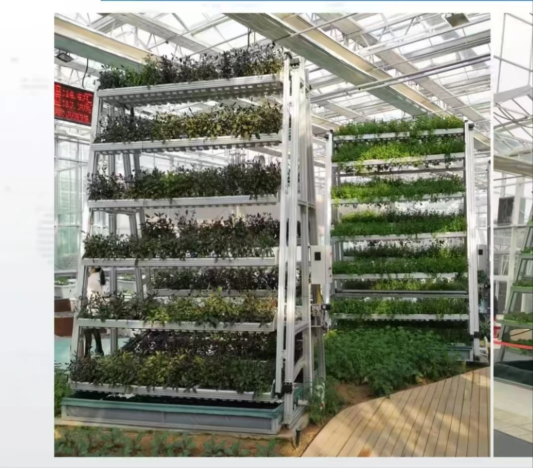 

Customized greenhouseA Type Rotating Tower Hydroponic Cultivation System Greenhouse with PC Glass Film Covering