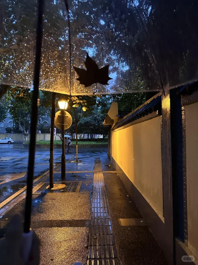 Android 13.0 8G+256… - image