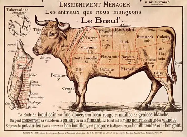 French School (20th century) Beef: diagram depicting the different cuts of meat Prints Poster Wall Art For Home Decor