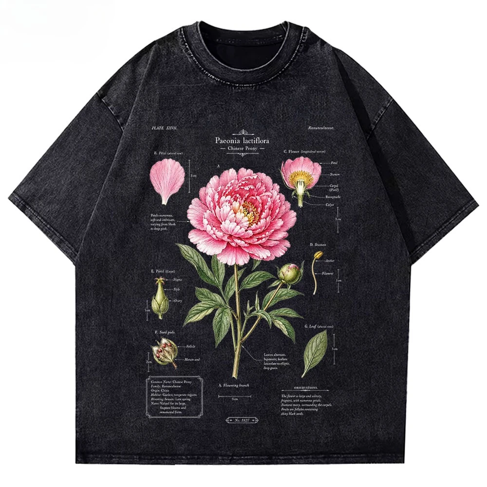 Washed Vintage Peony Botanical Graphic T Shirt Retro Flower Science Illustration Print Unisex Cotton Crew Neck Short Sleeve Tee