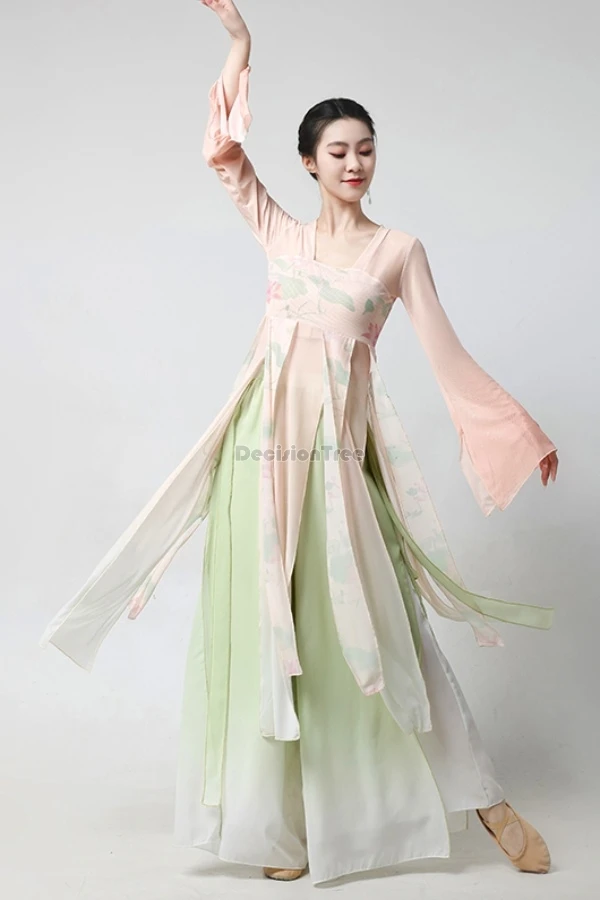 

2025 new chinese-style classical dance costume women chinese national dance scholar chiffon hanfu performance dance costume set