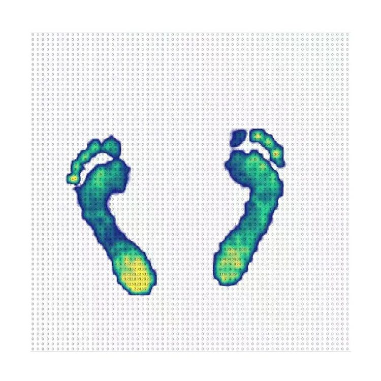 High Precision Wireless Portable Plantar Pressure Plate With Real-time Gait Analysis Software