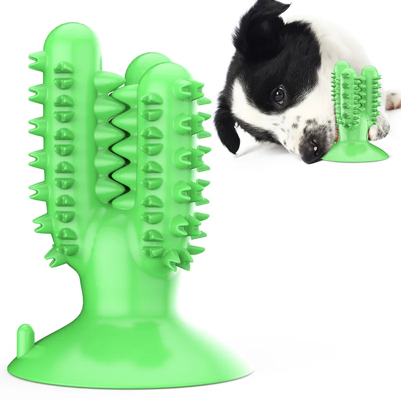 Pet supplies factory wholesale company new explosions cactus toothbrush grinding stick dog toy ball