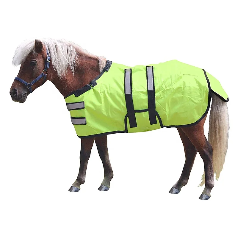 Custom Magnet Canvas Horse Blanket Winter Horse Products Turnout Waterproof Canvas Buckles Horse Turnout Rugs Wholesale Fabric