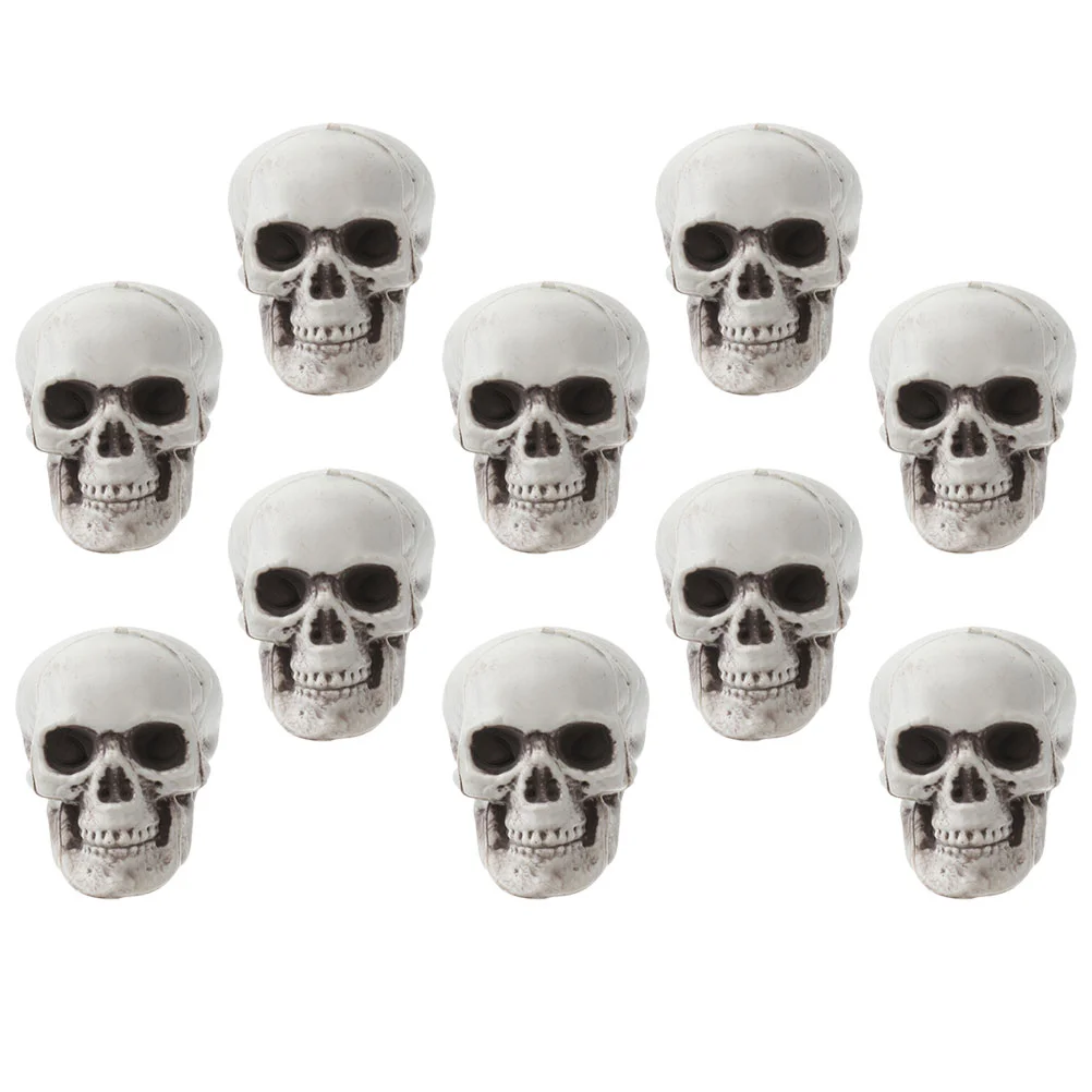 

10 Pcs Skull Props Halloween Decor Decorations Outdoor Simulated Realistic Model Party Supplies