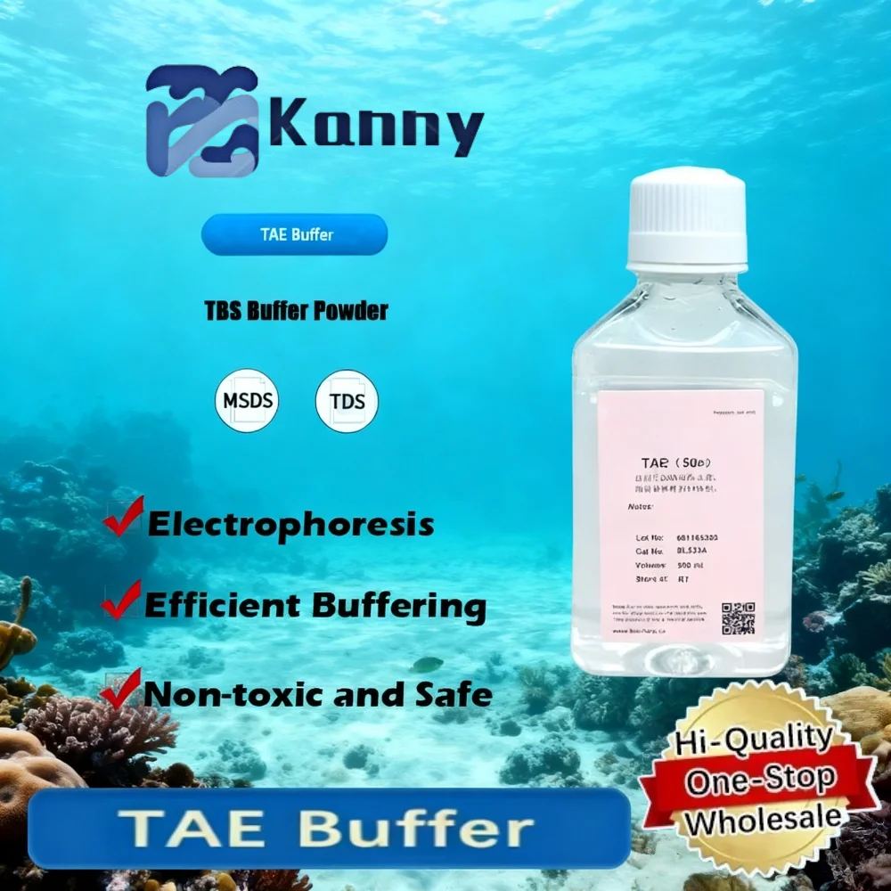 TAE Buffer for DNA Electrophoresis and Molecular Biology Applications Original Product
