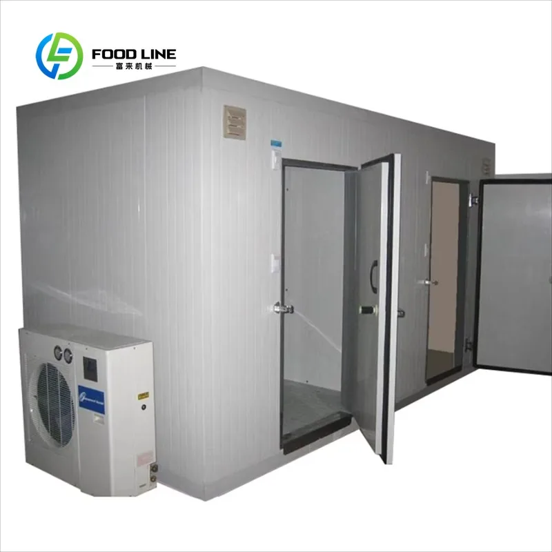 Custom Walk-In Cold Storage Room, Precise Constant Temperature Warehouse for Vegetables Fruits Flowers Meat Food Fresh Keeping