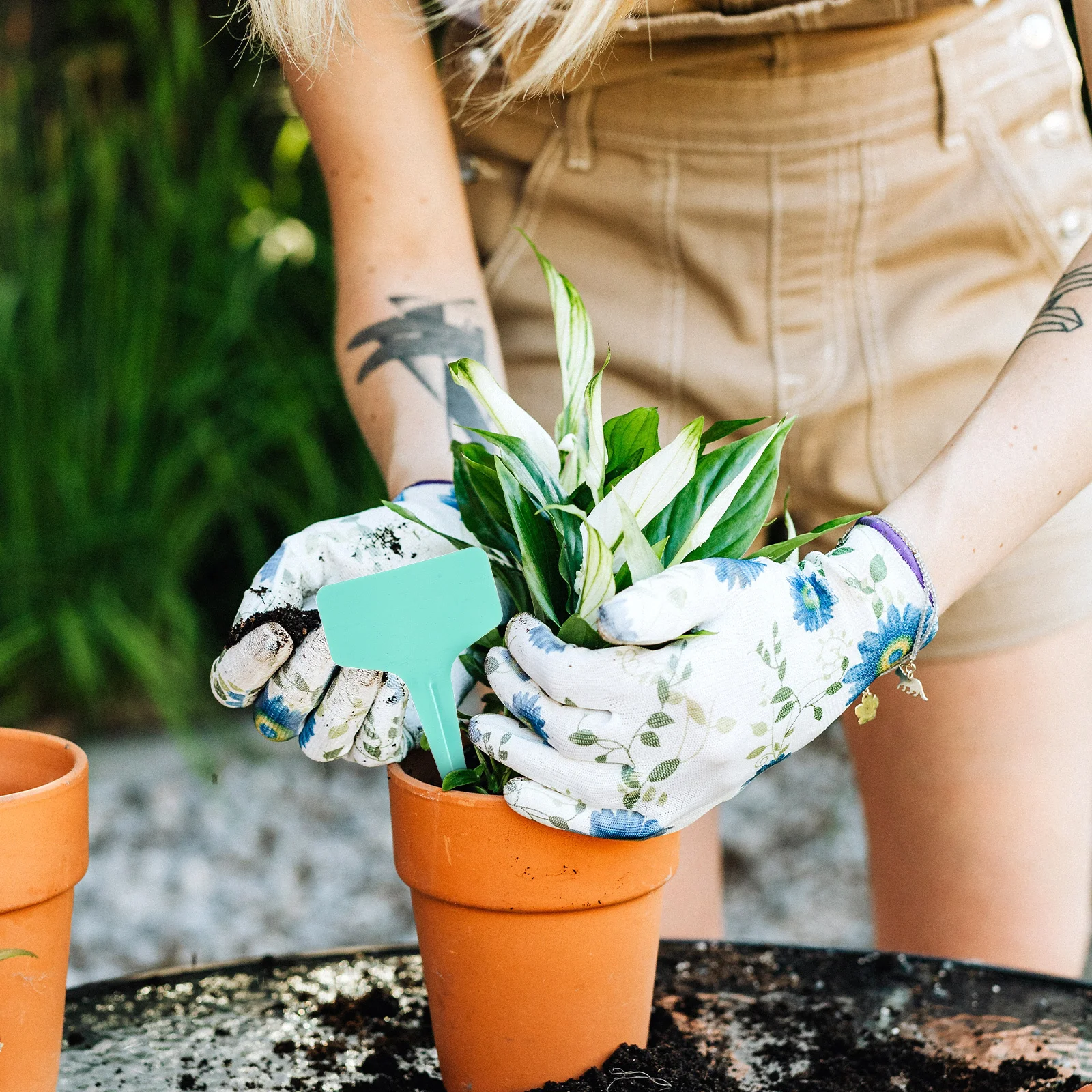 

175Pcs Plastic Plant Labels for Gardening T-Shaped Garden Markers Plant Classification Signs Indoor Outdoor Use