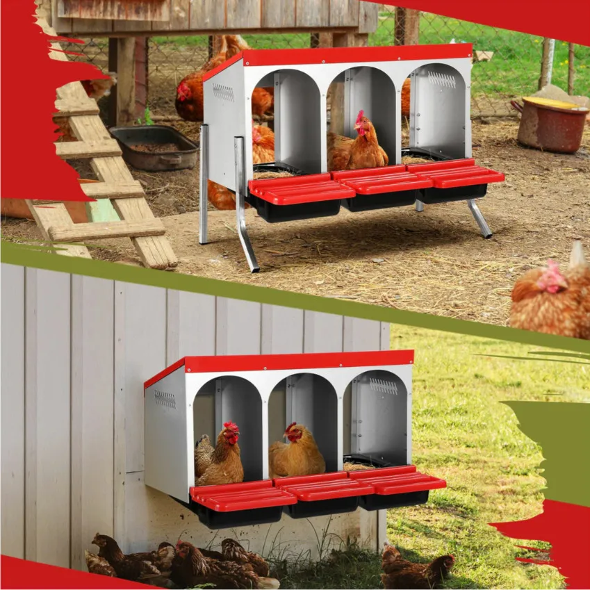 

Weatherproof Galvanized Metal Steel 3 Compartment Perch Cover Poultry Laying Hen Chicken Nest Box