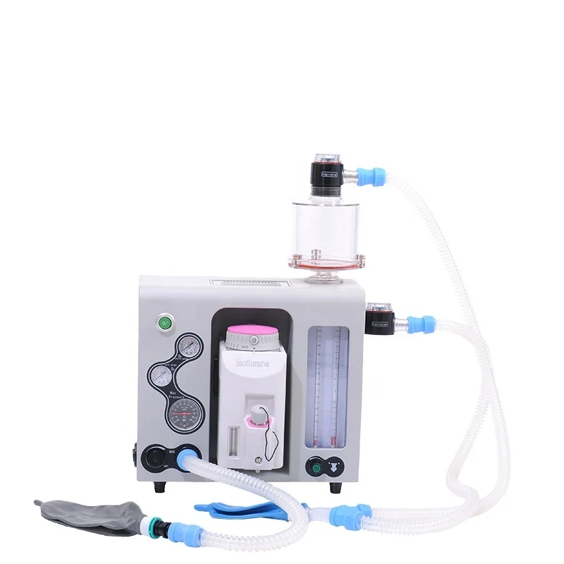 

HC-R006 Medical Veterinary Equipment Portable Machine for Sale