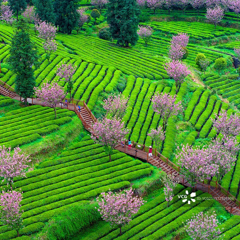 

GEPRC SPEEDX2 2306E Двигатель 1860KV 6S Прочный двигатель для 4-дюймовых - 5-дюймовых гоночных квадроциклов FPV Долговечная производительность