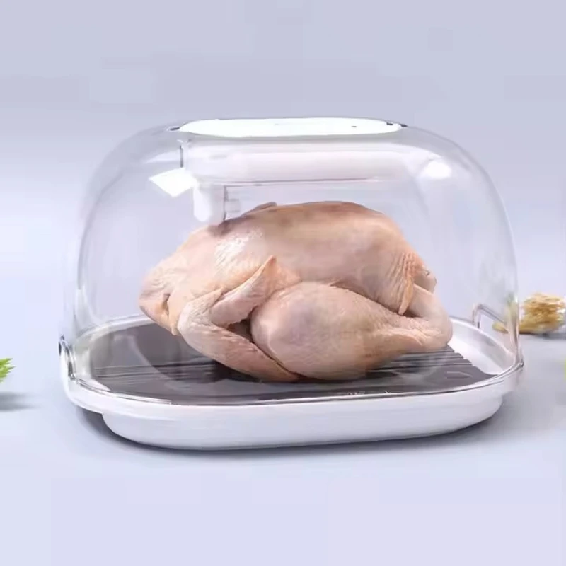 Multifunctional Electric Stainless Steel Defrost Plate Thawing Machine Large