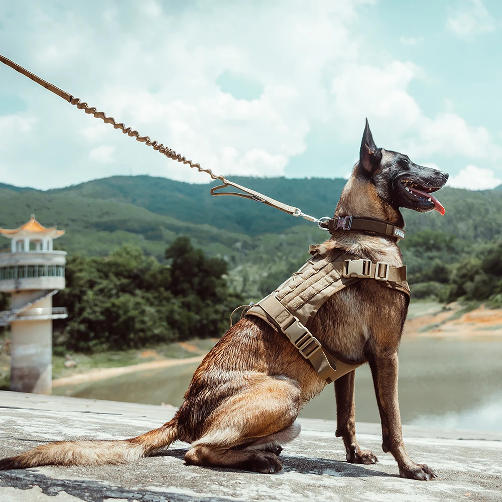 Imagem -06 - Arnês Tático de Nylon para Cães Colete de Treinamento para Cães Médios e Grandes Confortável Molle Filhote de Cachorro