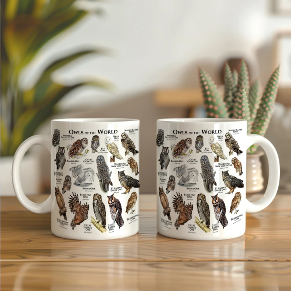 세계 올빼미 일러스트 이미지 커피 머그잔 11온스 세라 - Coffee Tea Images 리뷰 및 가격