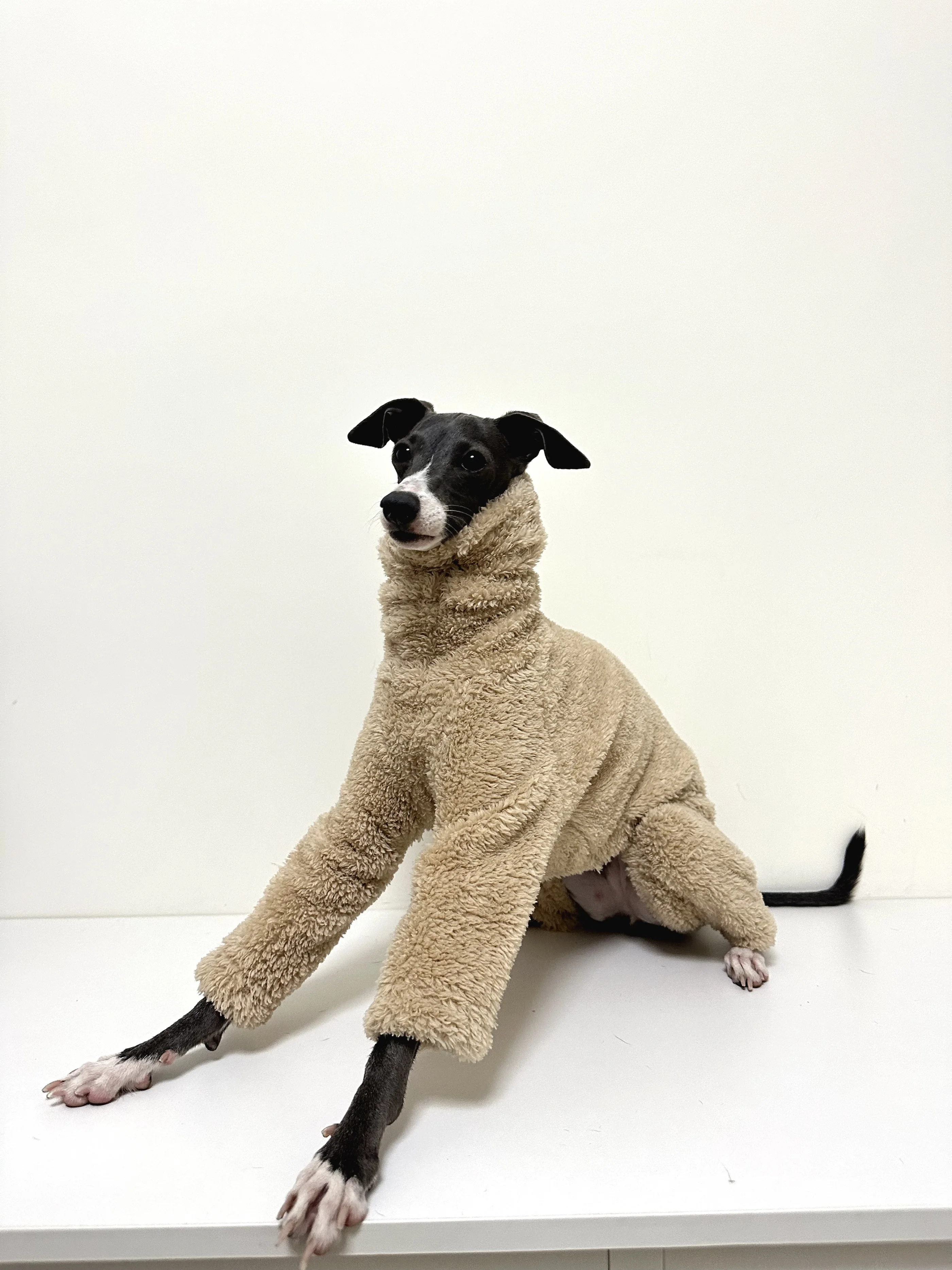 Winter Four-legged Italian Greyhound Dog Clothes Double Side Whippet High Collar Brown Jumpsuit for Small Media Large Dogs