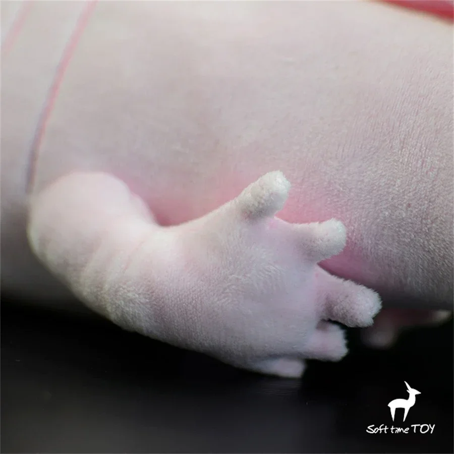 Juguete de peluche Axolotl rosa realista, animal relleno de salamandra realista, peluche de pez caminante mexicano, muñeca Newt rosa, regalo para niños